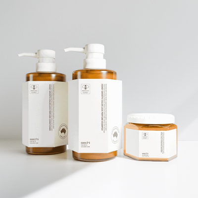 Sechi Honey Color Lock Deep Nourish Set