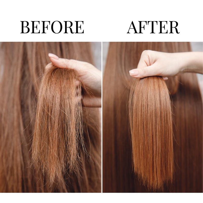 Sechi Honey Growth Color Lock Conditioner